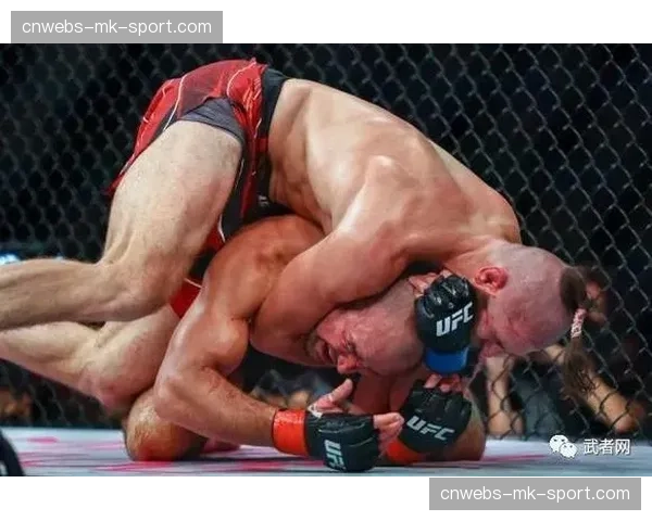 赛后争议：希尔对普罗哈兹卡比赛中的一次击打造成分歧判定