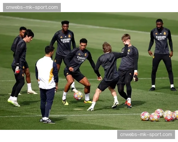 通讯：为应对极端天气，多个法甲主场加速推进球场顶棚建设计划